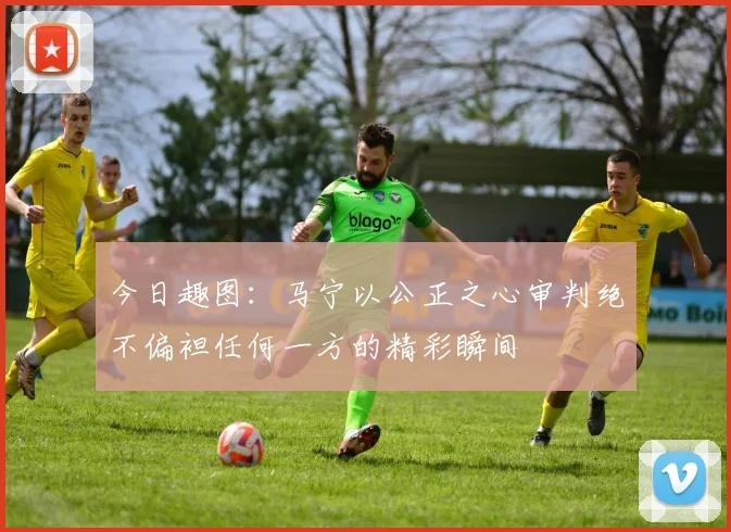 今日趣图：马宁以公正之心审判绝不偏袒任何一方的精彩瞬间