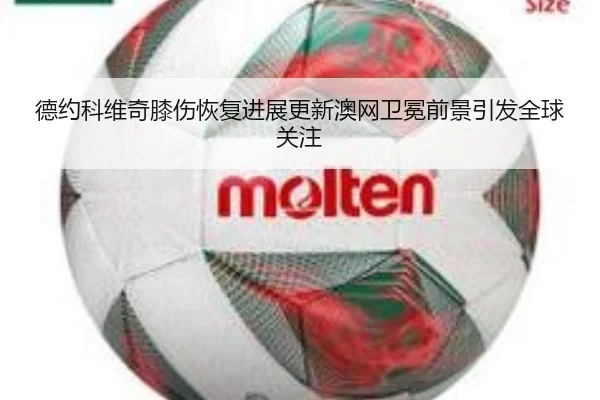 德约科维奇膝伤恢复进展更新澳网卫冕前景引发全球关注 - TianQi