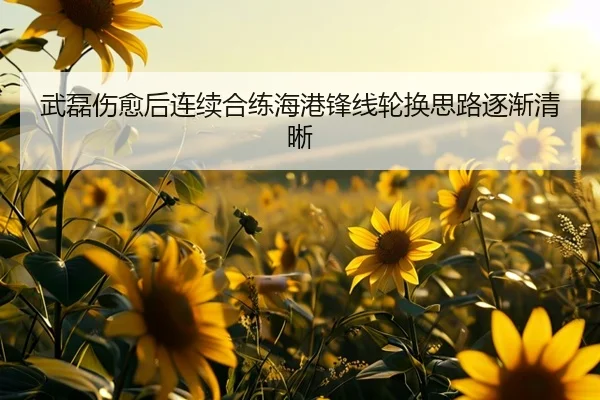 武磊伤愈后连续合练海港锋线轮换思路逐渐清晰 - TianQi
